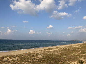 �����񍐎ʐ^